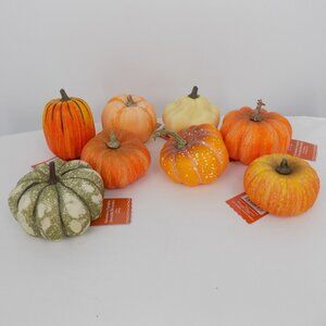 Set of 8 Ashland Fall Autumn Decorative Pumpkins Multicolor Free Standing New
